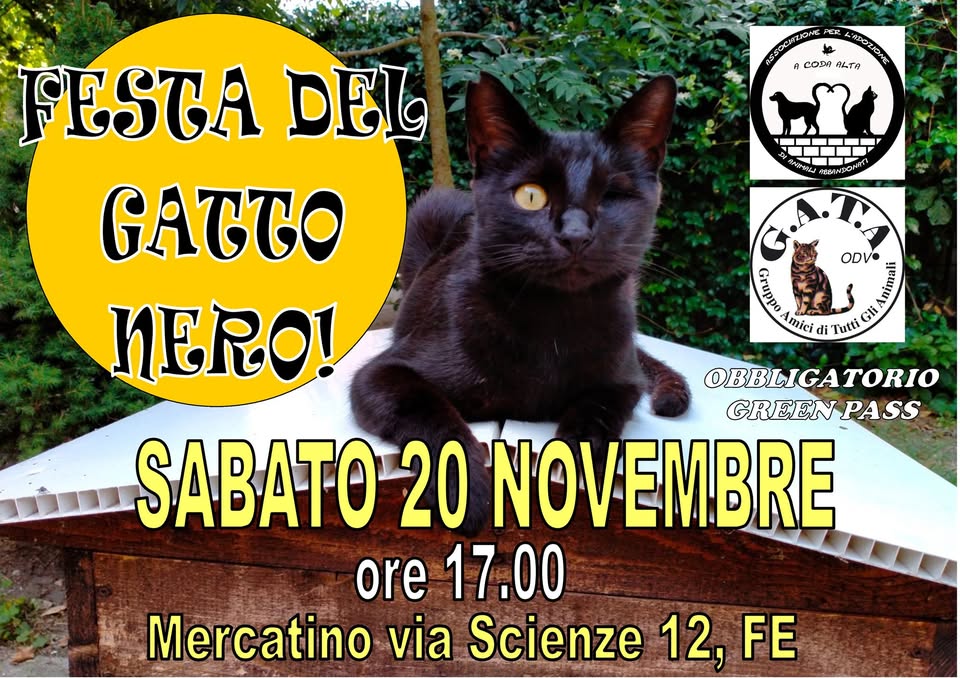 Volantino per la "Festa del Gatto Nero" dell'Associazione A Coda Alta & G.A.T.A. ODV, che si terrà sabato 20 novembre alle 17:00 presso il Mercatino in via Scienze 12, Ferrara, con un gatto nero raffigurato