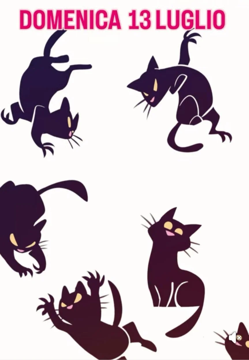 Locandina Evento Black NOT Friday Associazione A Coda Alta & GATA Gattile Ferrara